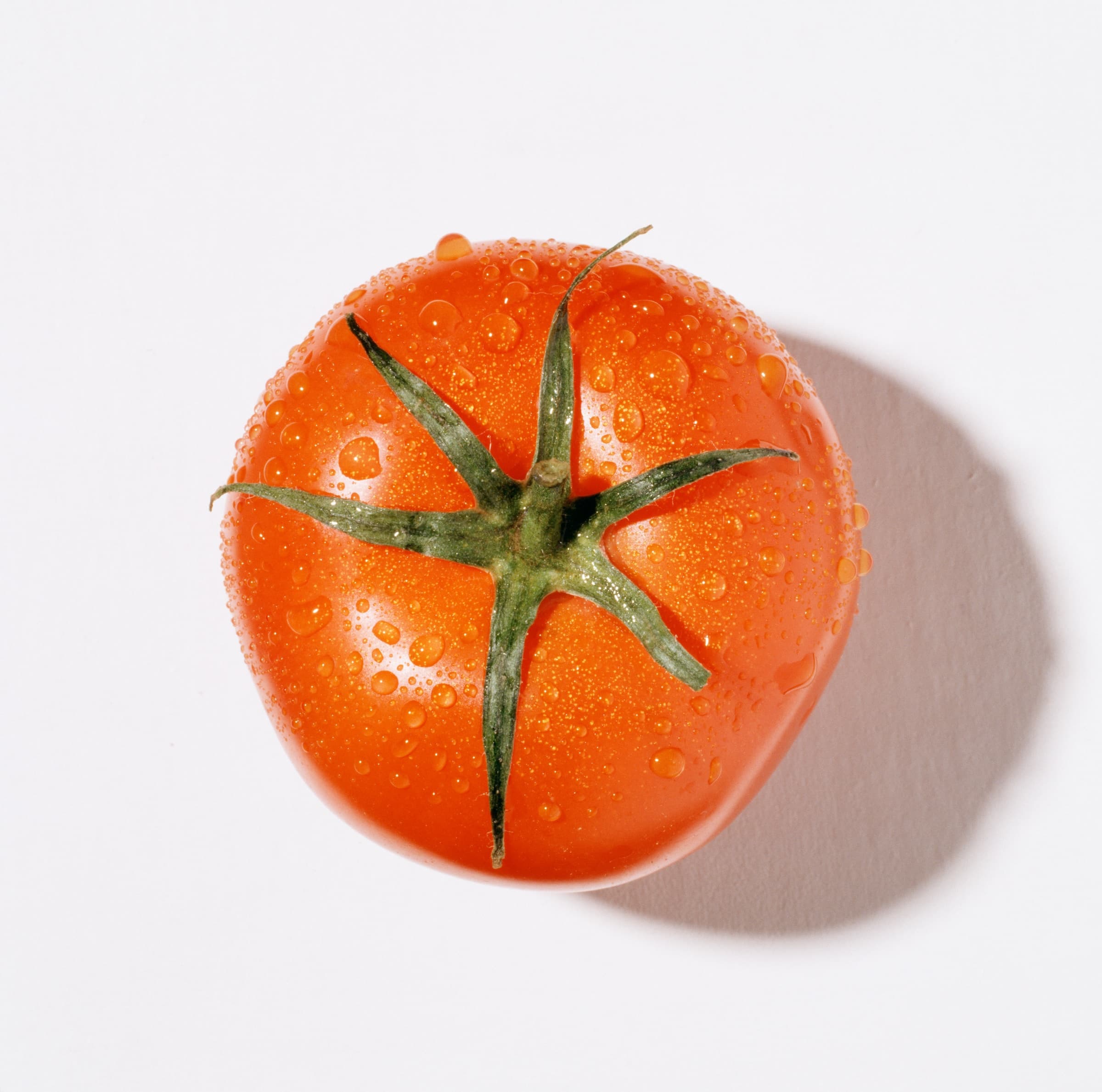 L'itinéraire Technique de la Tomate en MSV : Cultiver avec Respect de la Nature